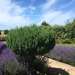 Guldbjerghus Bed & Breakfast Bogense
