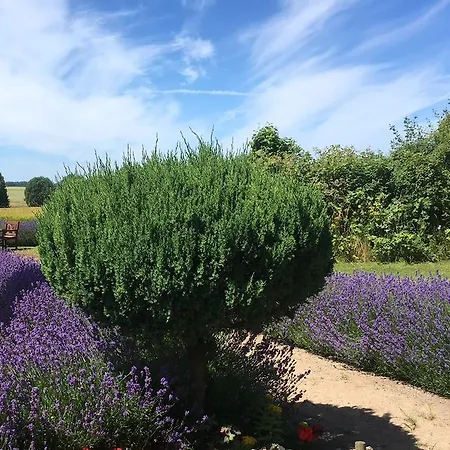 Guldbjerghus Bed and breakfast Bogense
