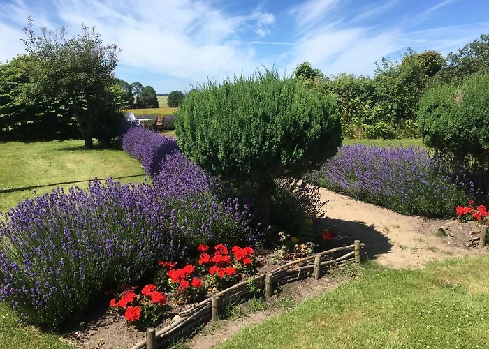 Guldbjerghus Alojamento de Acomodação e Pequeno-almoço Bogense