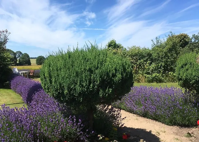 Guldbjerghus Alojamento de Acomodação e Pequeno-almoço Bogense